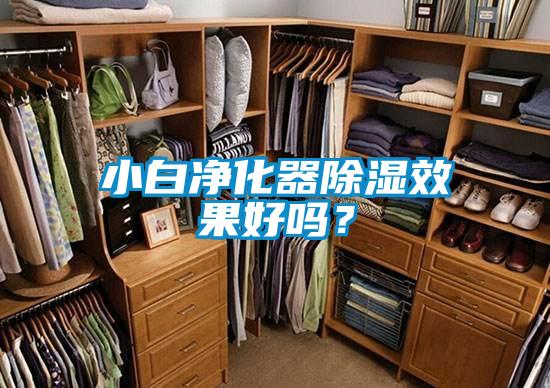 小白凈化器除濕效果好嗎？