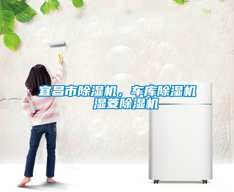 宜昌市除濕機(jī)，車庫除濕機(jī)  濕菱除濕機(jī)