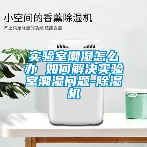 實(shí)驗(yàn)室潮濕怎么辦 如何解決實(shí)驗(yàn)室潮濕問題-除濕機(jī)