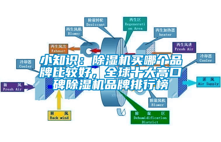 小知識：除濕機買哪個品牌比較好，全球十大高口碑除濕機品牌排行榜
