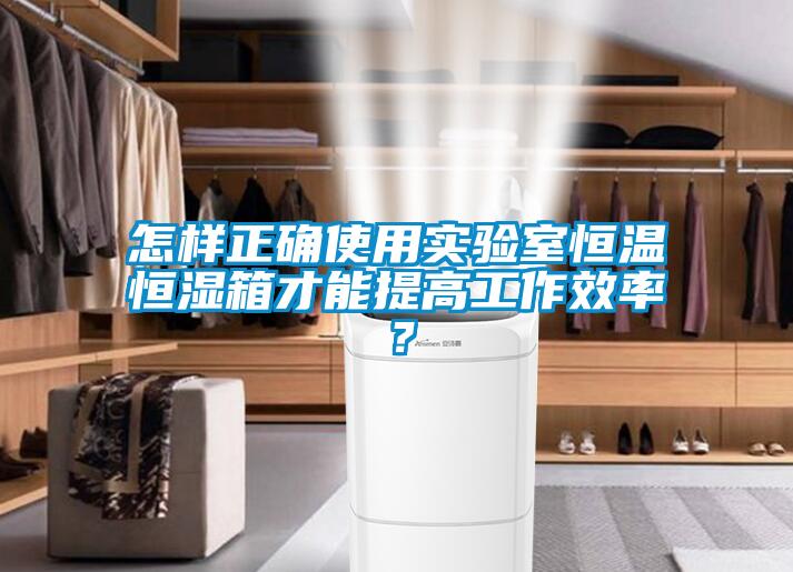 怎樣正確使用實(shí)驗(yàn)室恒溫恒濕箱才能提高工作效率？