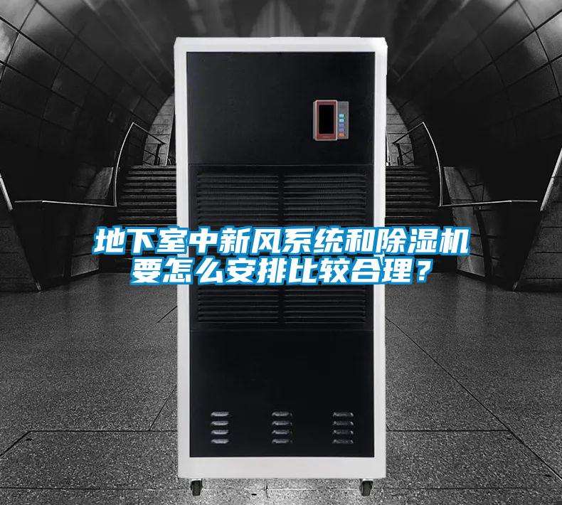 地下室中新風(fēng)系統(tǒng)和除濕機要怎么安排比較合理？