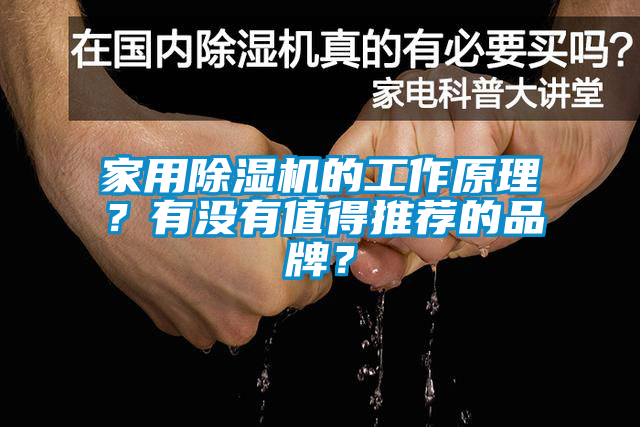 家用除濕機(jī)的工作原理？有沒有值得推薦的品牌？
