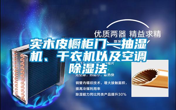 實(shí)木皮櫥柜門—抽濕機(jī)、干衣機(jī)以及空調(diào)除濕法