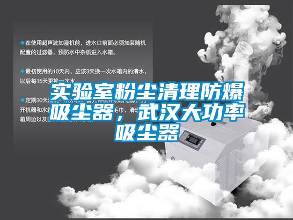 實驗室粉塵清理防爆吸塵器，武漢大功率吸塵器