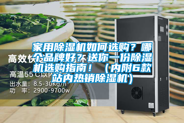 家用除濕機如何選購？哪個品牌好？送你一份除濕機選購指南！（內(nèi)附6款站內(nèi)熱銷除濕機）