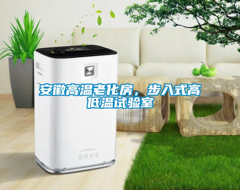 安徽高溫老化房，步入式高低溫試驗室