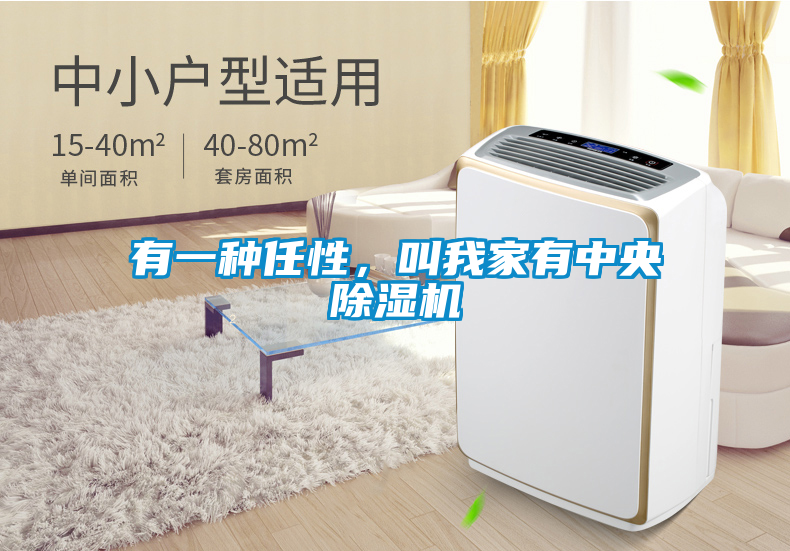 有一種任性，叫我家有中央除濕機