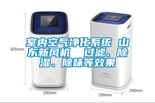 室內(nèi)空氣凈化系統(tǒng) 山東新風機  過濾、除濕、除味等效果