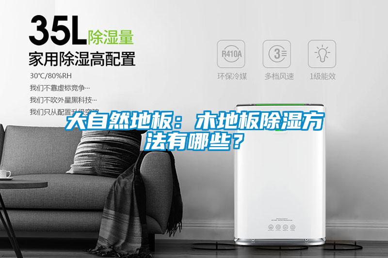 大自然地板：木地板除濕方法有哪些？