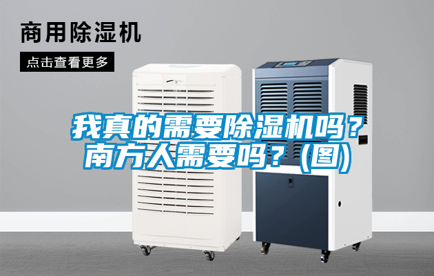 我真的需要除濕機嗎？南方人需要嗎？(圖)