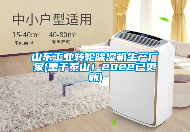 山東工業(yè)轉(zhuǎn)輪除濕機(jī)生產(chǎn)廠家(重于泰山！2022已更新)