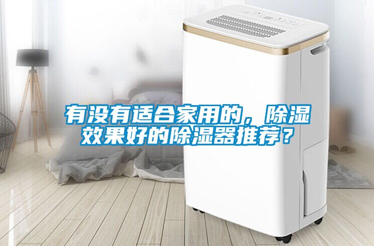 有沒有適合家用的，除濕效果好的除濕器推薦？