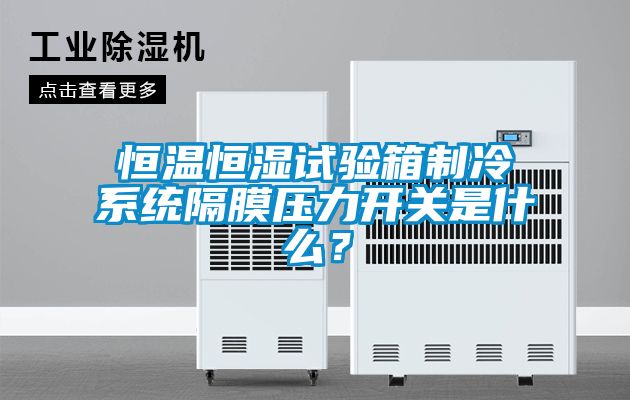恒溫恒濕試驗(yàn)箱制冷系統(tǒng)隔膜壓力開關(guān)是什么？