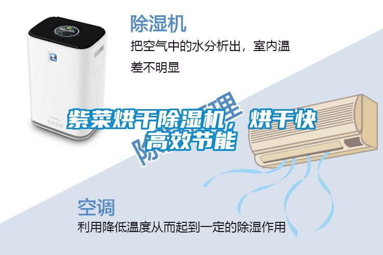 紫菜烘干除濕機(jī)，烘干快高效節(jié)能