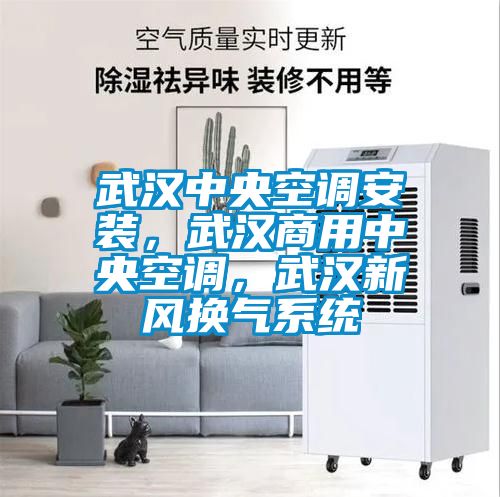 武漢中央空調(diào)安裝，武漢商用中央空調(diào)，武漢新風(fēng)換氣系統(tǒng)