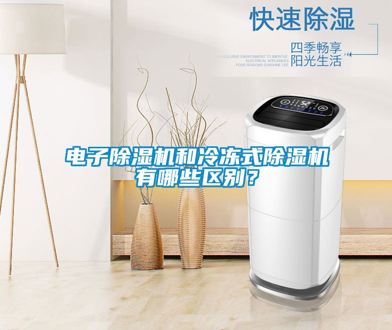 電子除濕機和冷凍式除濕機有哪些區(qū)別？