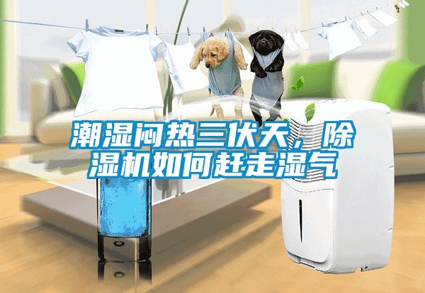 潮濕悶熱三伏天，除濕機(jī)如何趕走濕氣