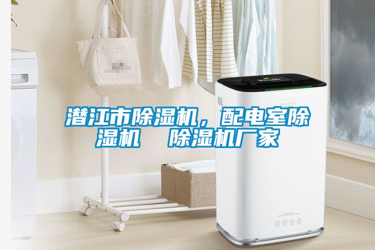 潛江市除濕機(jī)，配電室除濕機(jī)  除濕機(jī)廠家