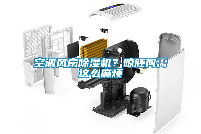 空調(diào)風扇除濕機？晾胚何需這么麻煩