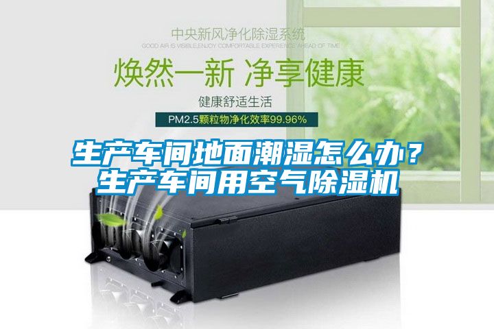 生產(chǎn)車間地面潮濕怎么辦？生產(chǎn)車間用空氣除濕機(jī)