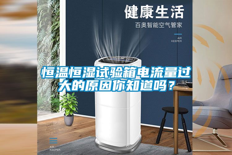 恒溫恒濕試驗箱電流量過大的原因你知道嗎？