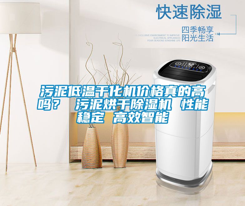 污泥低溫干化機(jī)價格真的高嗎？ 污泥烘干除濕機(jī) 性能穩(wěn)定 高效智能