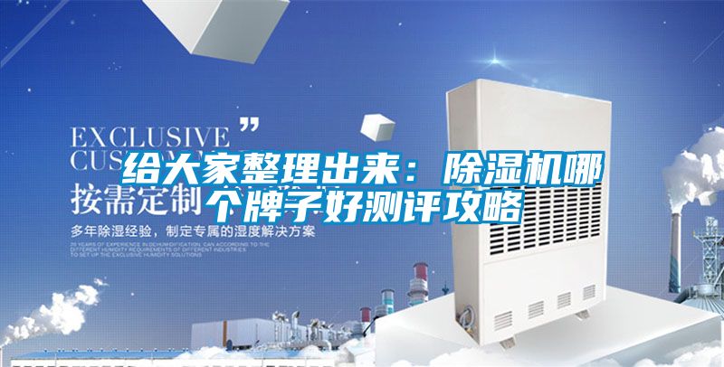 給大家整理出來：除濕機(jī)哪個(gè)牌子好測評(píng)攻略