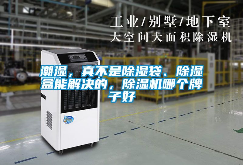 潮濕，真不是除濕袋、除濕盒能解決的，除濕機(jī)哪個(gè)牌子好
