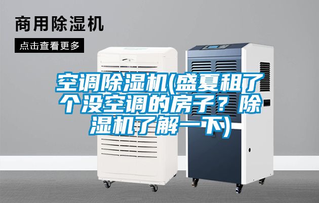 空調(diào)除濕機(jī)(盛夏租了個沒空調(diào)的房子？除濕機(jī)了解一下)
