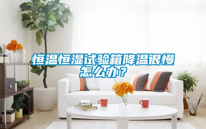 恒溫恒濕試驗(yàn)箱降溫很慢怎么辦？