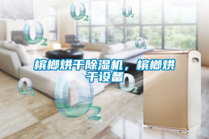 檳榔烘干除濕機，檳榔烘干設(shè)備