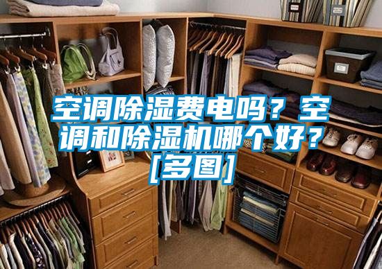 空調(diào)除濕費(fèi)電嗎？空調(diào)和除濕機(jī)哪個(gè)好？[多圖]