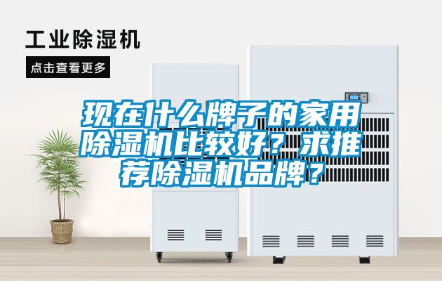現(xiàn)在什么牌子的家用除濕機(jī)比較好？求推薦除濕機(jī)品牌？