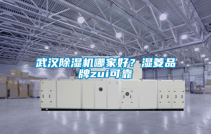 武漢除濕機哪家好？濕菱品牌zui可靠