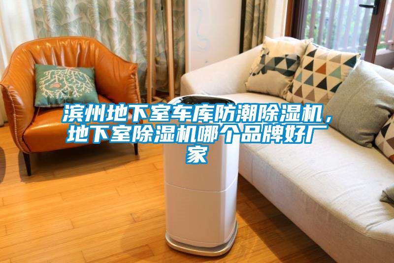 濱州地下室車庫防潮除濕機(jī)，地下室除濕機(jī)哪個(gè)品牌好廠家