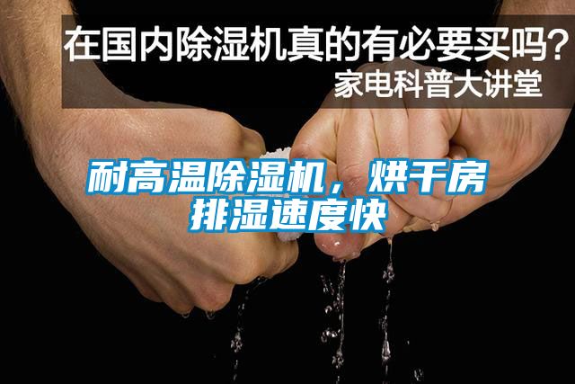 耐高溫除濕機(jī)，烘干房排濕速度快