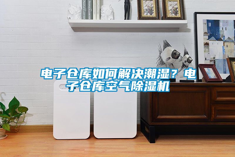 電子倉庫如何解決潮濕？電子倉庫空氣除濕機