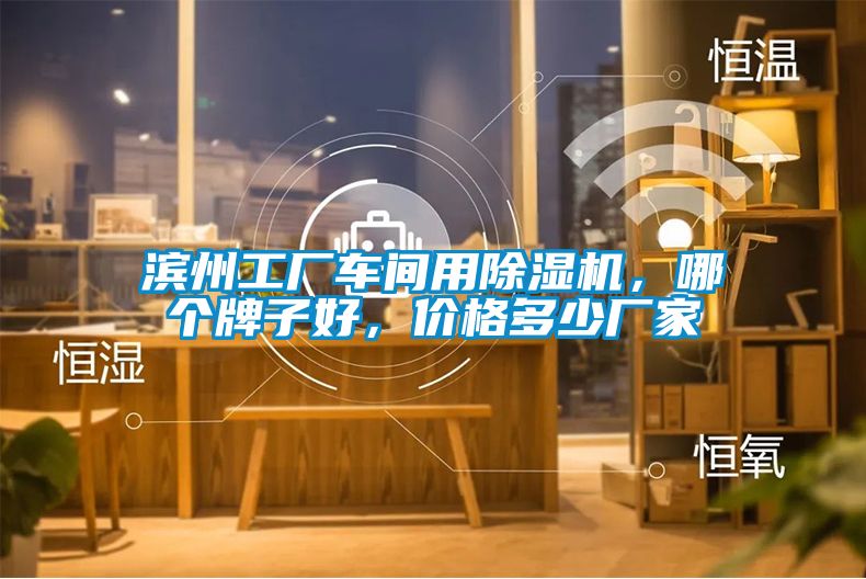 濱州工廠車間用除濕機，哪個牌子好，價格多少廠家