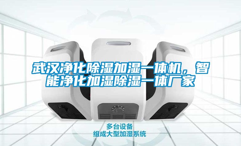 武漢凈化除濕加濕一體機(jī)，智能凈化加濕除濕一體廠家