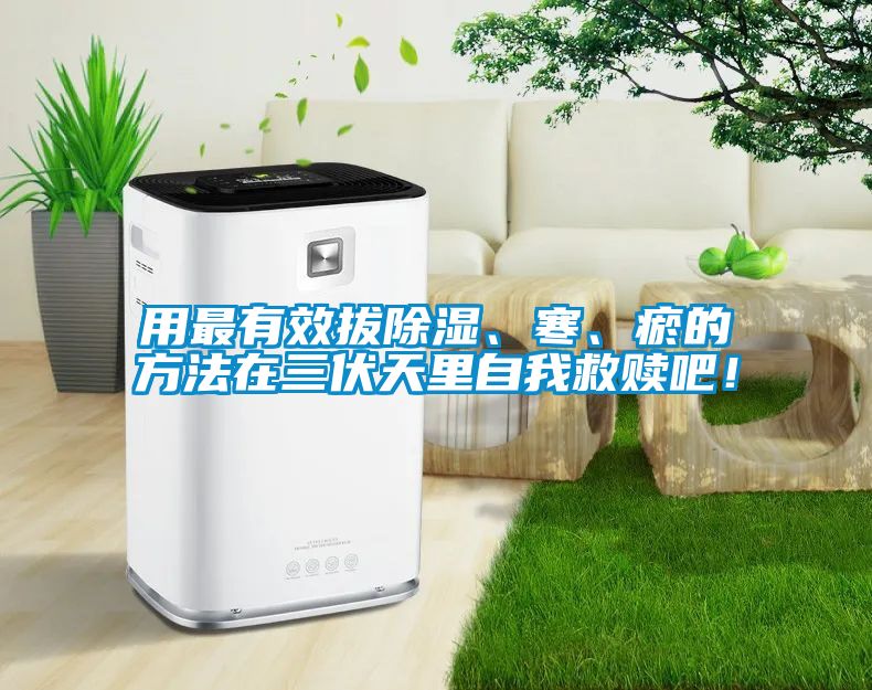 用最有效拔除濕、寒、瘀的方法在三伏天里自我救贖吧！