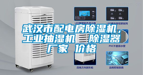 武漢市配電房除濕機(jī)，工業(yè)抽濕機(jī)  除濕器廠家 價(jià)格