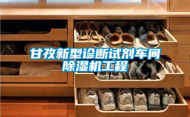 甘孜新型診斷試劑車間除濕機工程