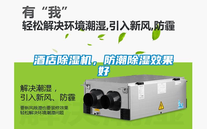 酒店除濕機，防潮除濕效果好