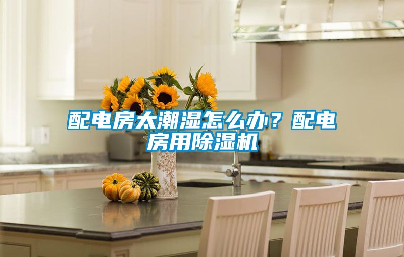 配電房太潮濕怎么辦？配電房用除濕機(jī)