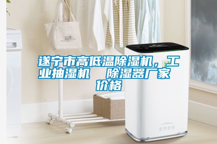 遂寧市高低溫除濕機，工業(yè)抽濕機  除濕器廠家 價格