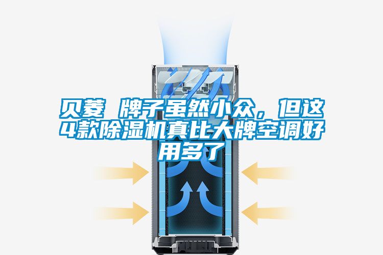 貝菱 牌子雖然小眾，但這4款除濕機真比大牌空調(diào)好用多了