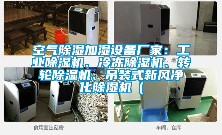 空氣除濕加濕設(shè)備廠家：工業(yè)除濕機(jī)、冷凍除濕機(jī)、轉(zhuǎn)輪除濕機(jī)、吊裝式新風(fēng)凈化除濕機(jī)（