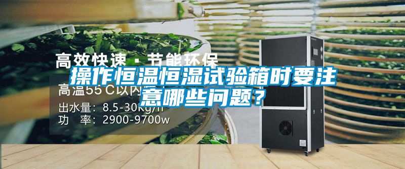 操作恒溫恒濕試驗(yàn)箱時(shí)要注意哪些問(wèn)題？