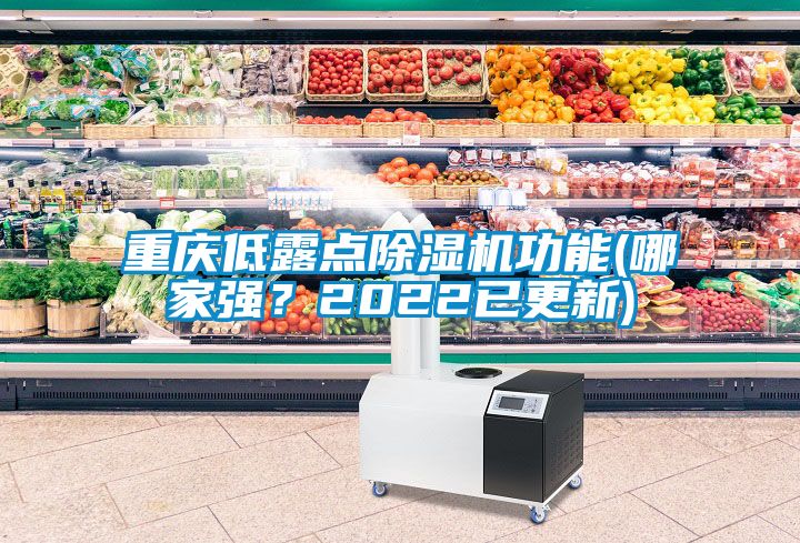 重慶低露點除濕機功能(哪家強？2022已更新)